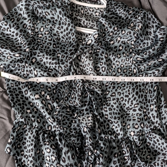 Zara animal print dress - Picture 2 of 4